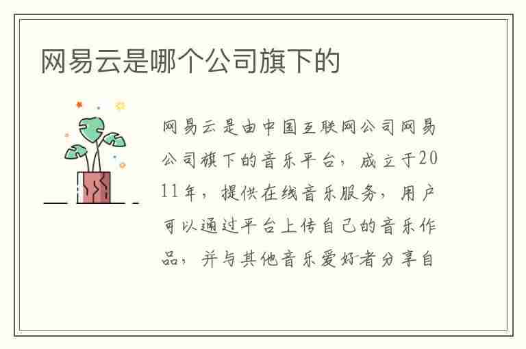 网易云是哪个公司旗下的(网易云是哪个公司旗下的产品)